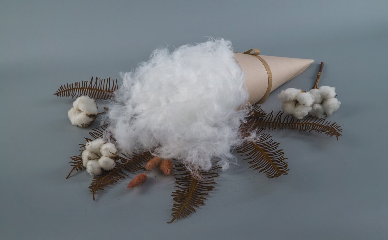 Синтепух лебединий