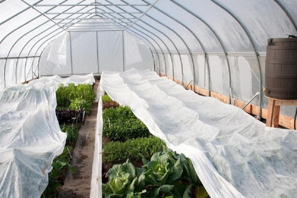 Купити агроволокно