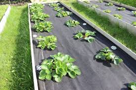 спанбонд для городу